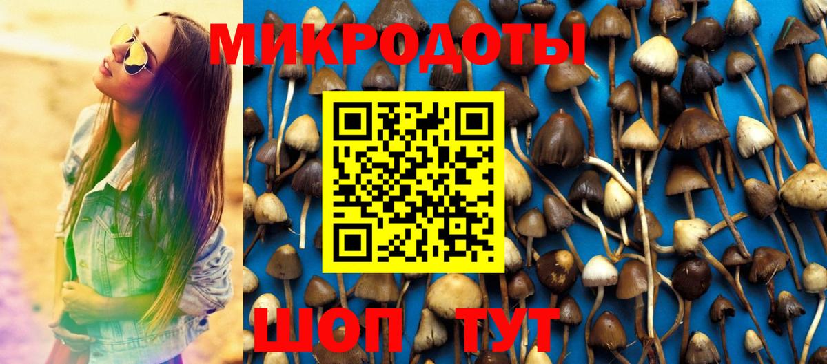 Псилоцибиновые грибы Magic Shrooms  Вход с VPN  Усть-Джегута 
